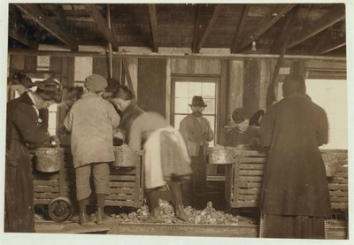 Mike Murphy, 10 ans, Annie Healy, 7 ans, et Ross Healy, 10 ans (qui travaille depuis 2 ans) dans le hangar de décorticage à Alabama Canning Co, Bayou La Batre, Alabama, 1911 - Lewis Wickes Hine